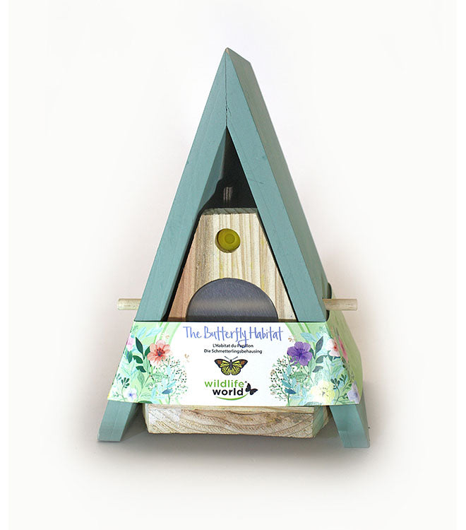 Butterfly House & Feeder