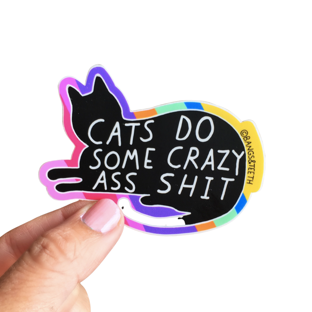 Cats Do Crazy Shit Sticker