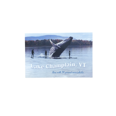 Vermont Lake Champlain Whales Postcard