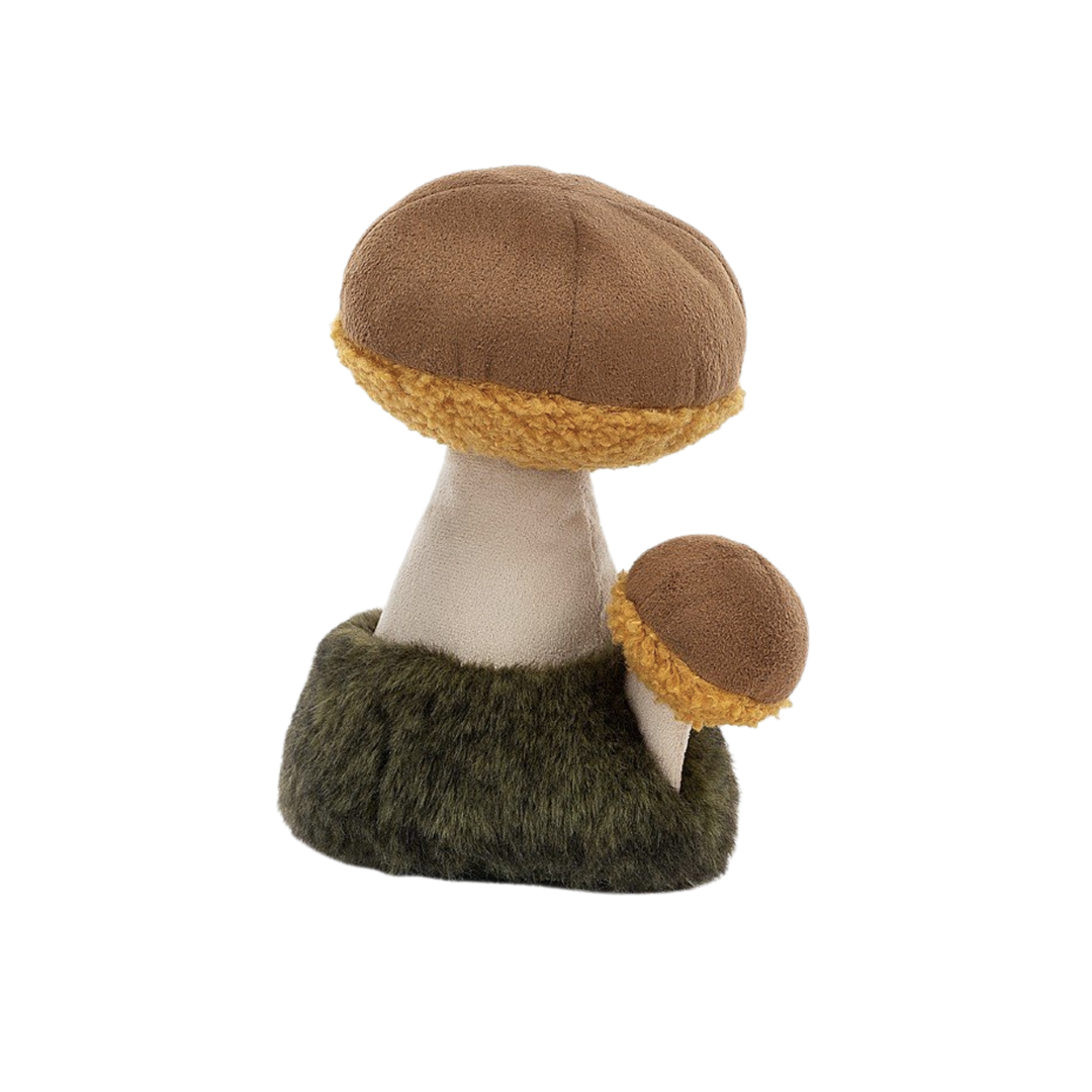 Wild Nature Boletus Mushroom