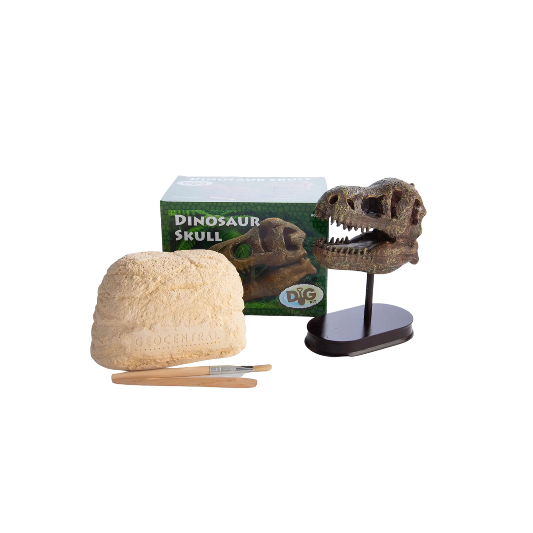 Excavation Kit: Dinosaur Skull