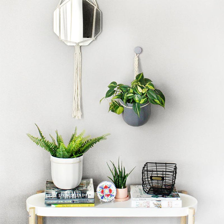 Loop Hanging Eco Planter
