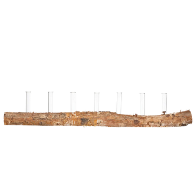 Birch Wood Log base with Seven Glass Tubes for Propagation