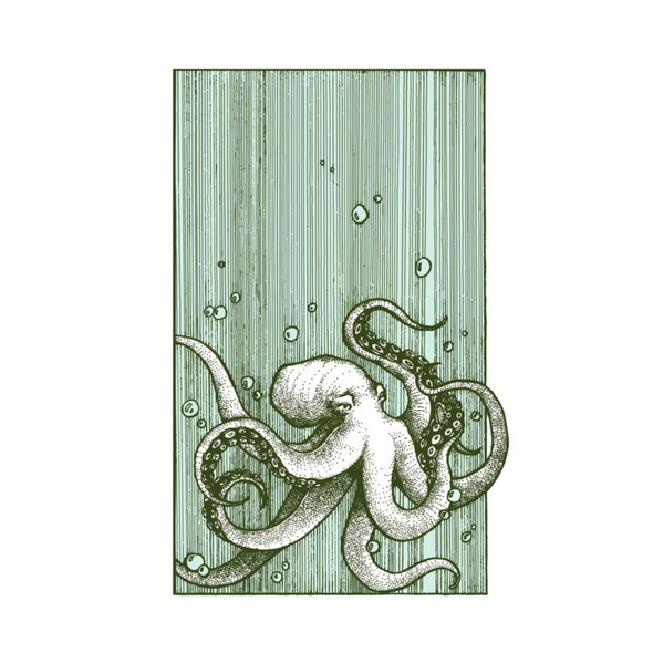 Octopus 11x17 Print