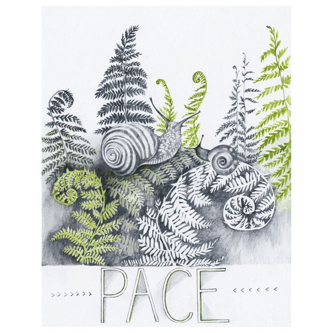 Pace Print