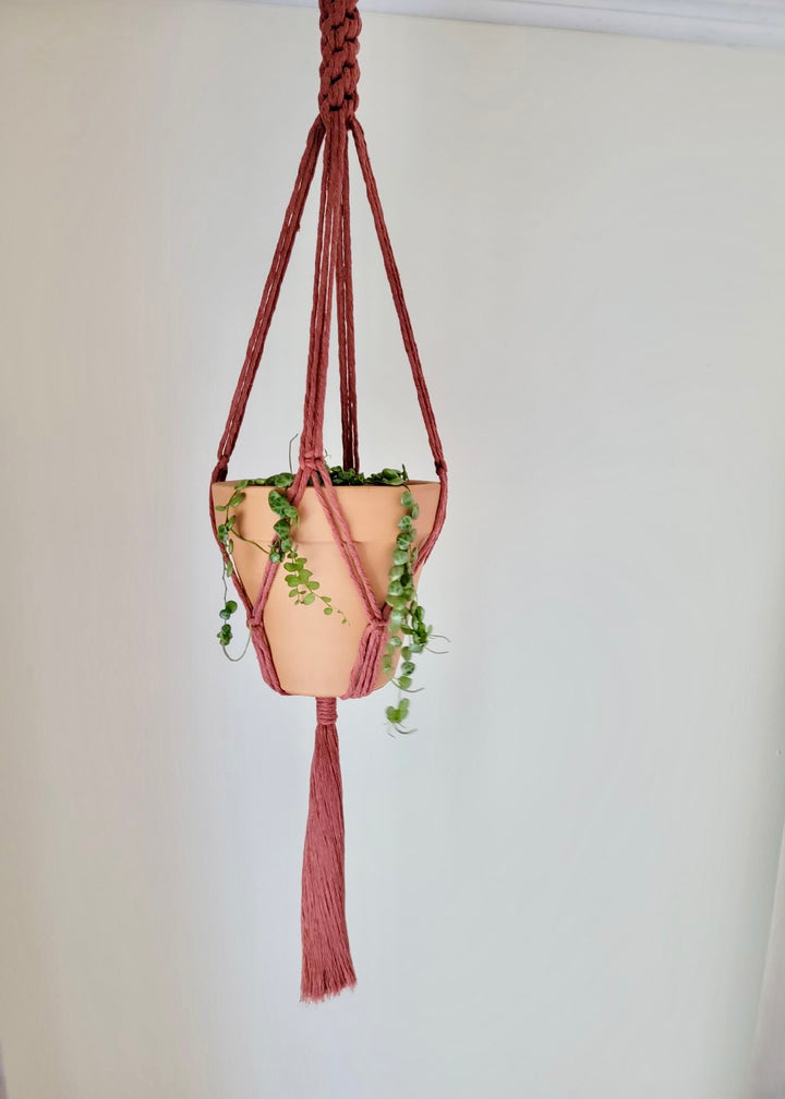 Crown Knot Macrame Plant Hanger