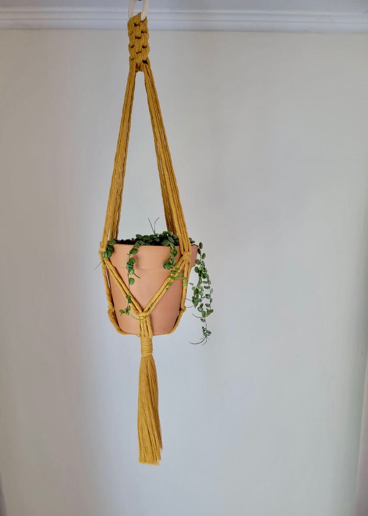 Crown Knot Macrame Plant Hanger