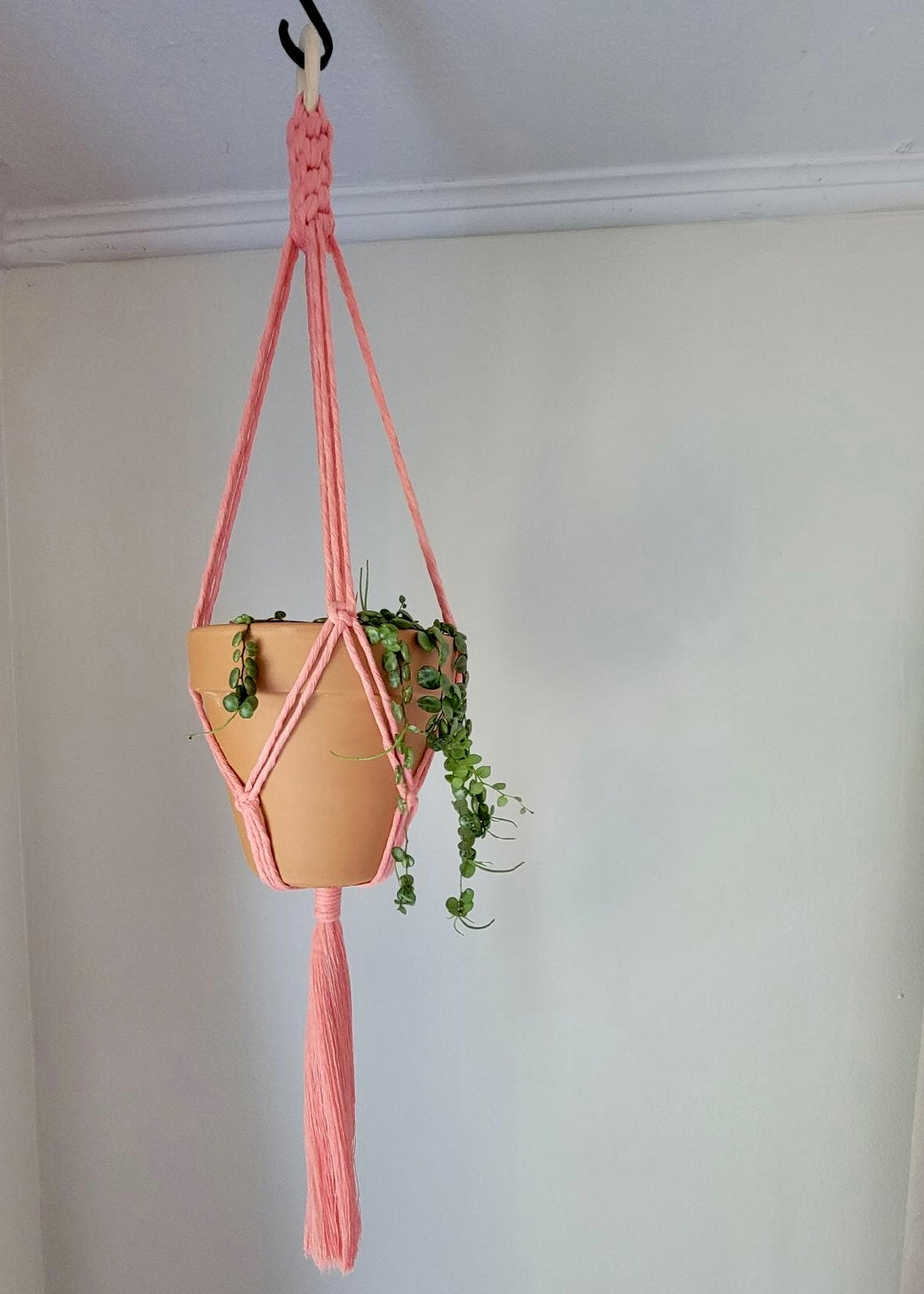 Crown Knot Macrame Plant Hanger