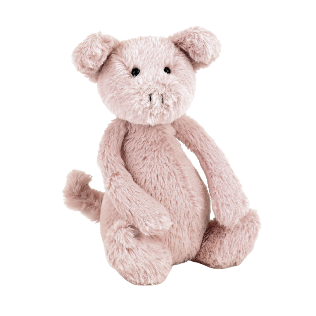 Bashful Pig