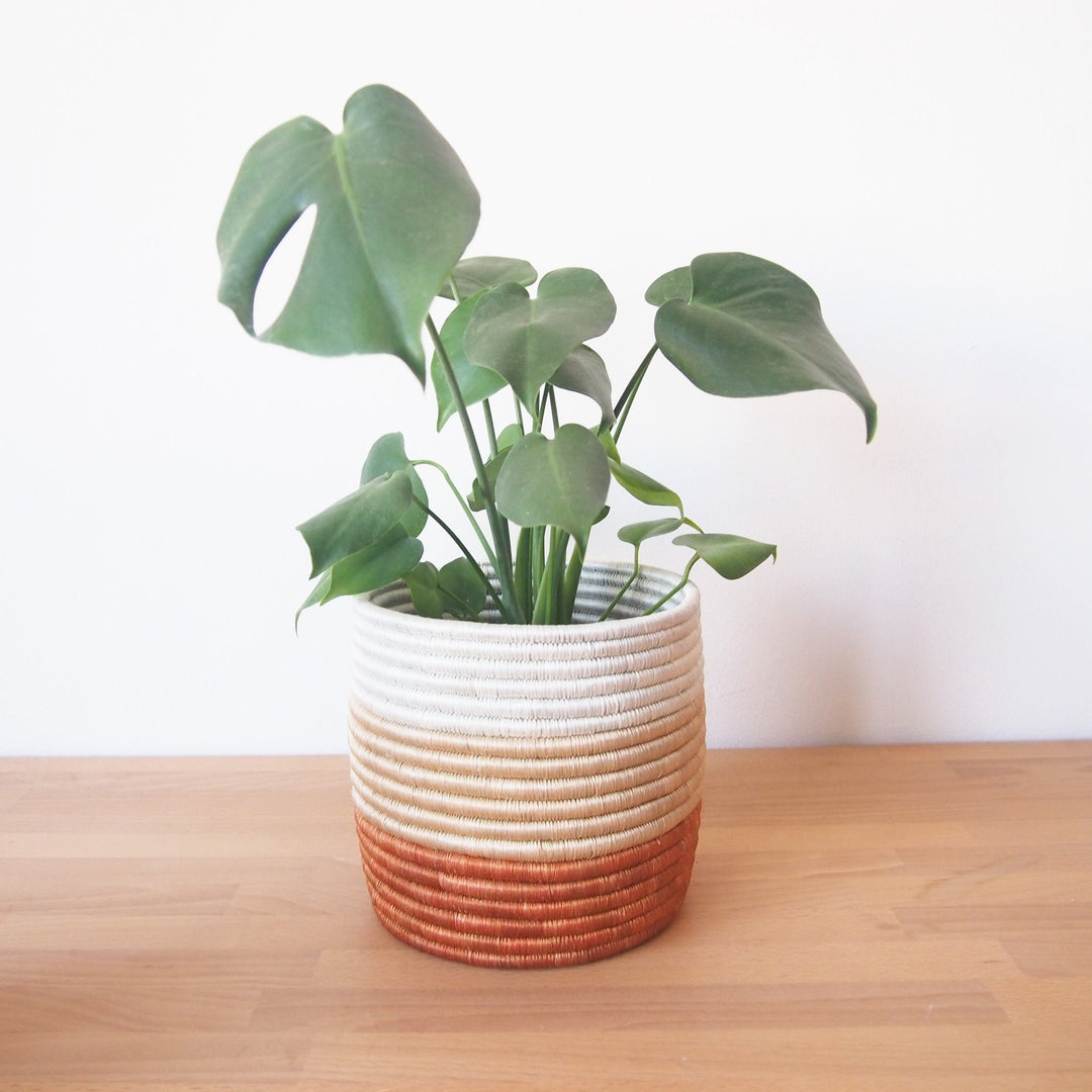Juru Basket Planter