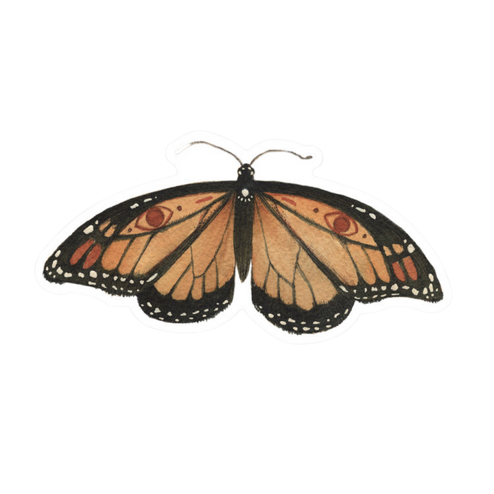 Monarch - Sticker