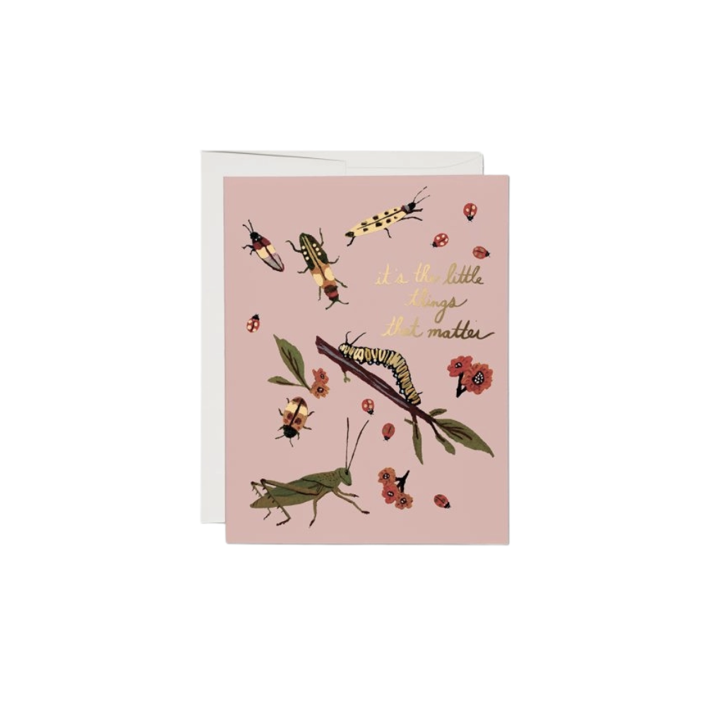 Little Bugs Card