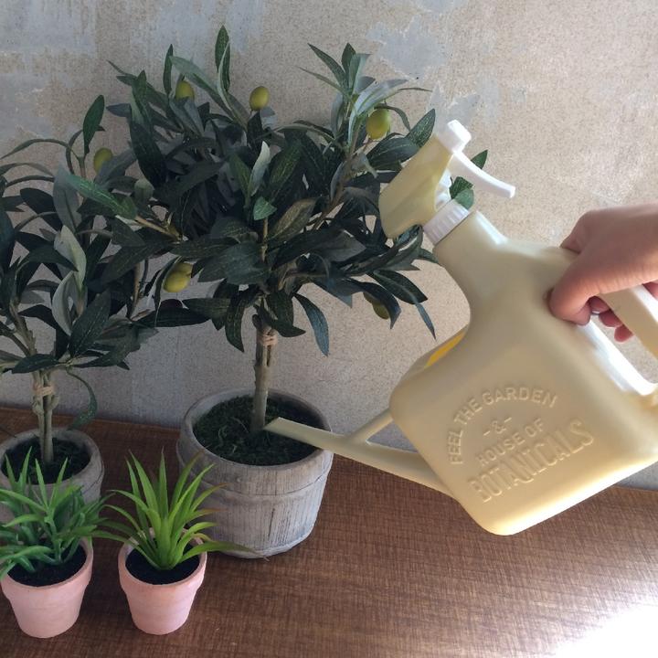 Spray Sprinkler Watering Can in Cream