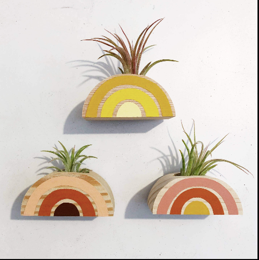 Rainbow Air Plant Magnet (PLANT NOT INCLUDED)