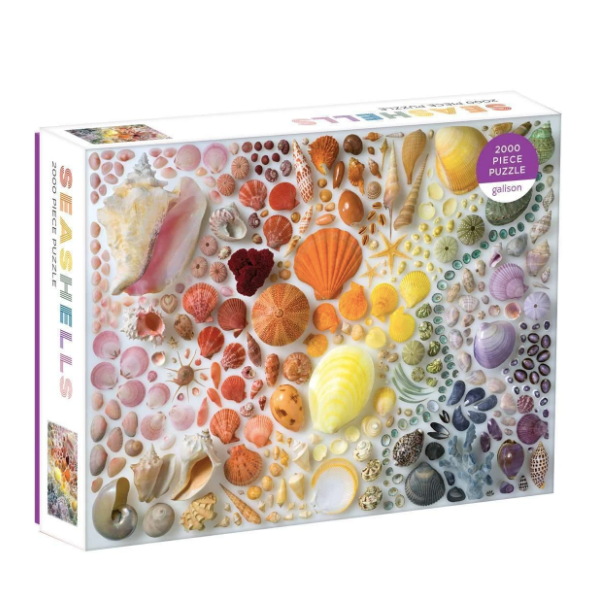 Rainbow Seashells Jigsaw Puzzle