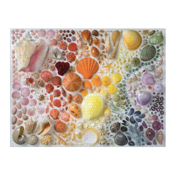 Rainbow Seashells Jigsaw Puzzle
