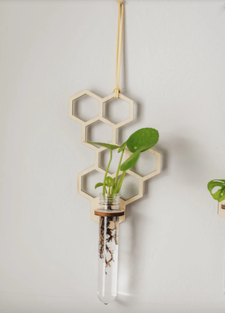 Honeycomb Hanging Propagation Station