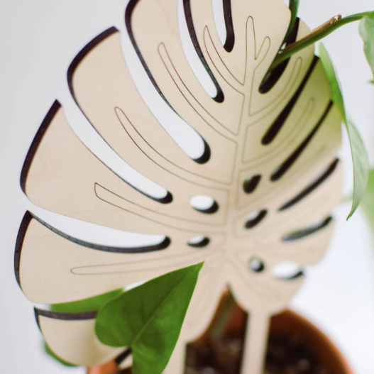 Monstera Leaf Trellis