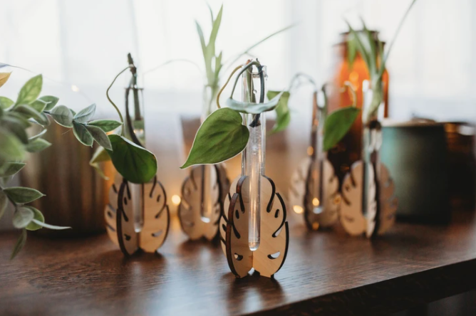 Monstera Leaf Tabletop Propagation Station