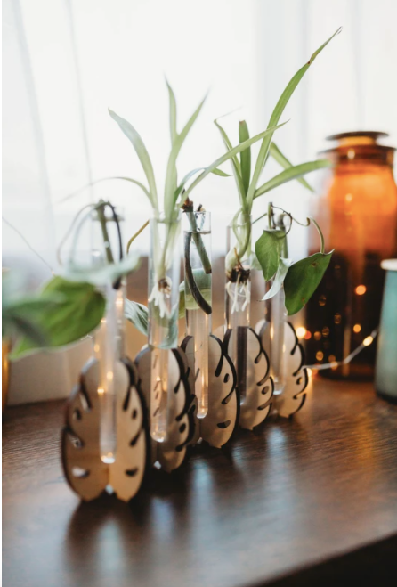 Monstera Leaf Tabletop Propagation Station
