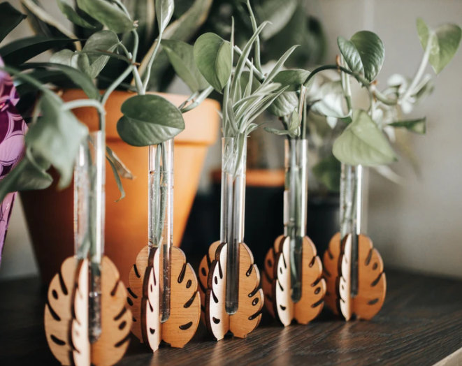 Monstera Leaf Tabletop Propagation Station