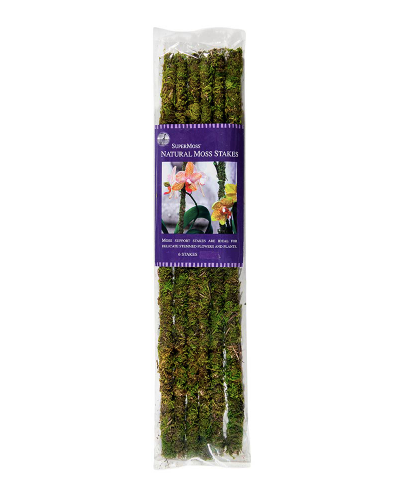 Moss Stakes - Pack of 6