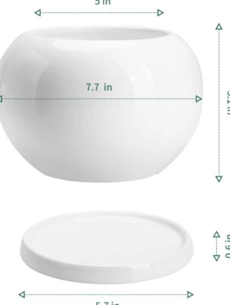 5 Inch White Round Plant Pot with Saucer