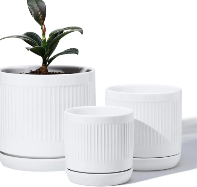 White Fluted Cylinder Ceramic Plant Pots