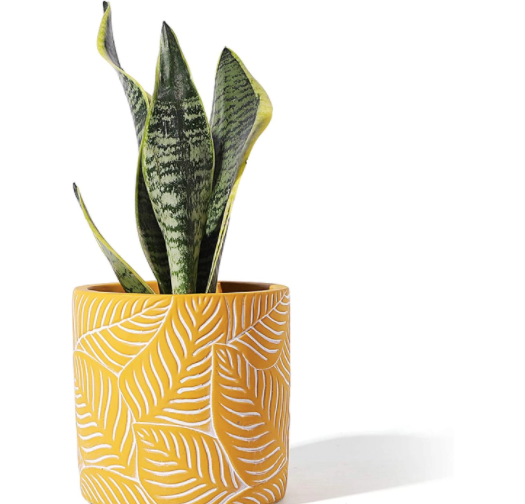 Yellow Vintage Leaf Cement Pot