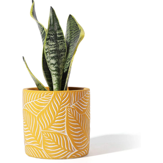 Yellow Vintage Leaf Cement Pot