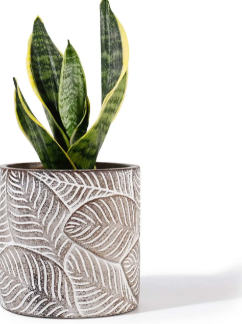 Vintage Leaf Cement Pot