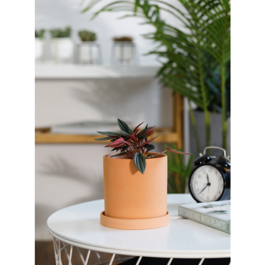 4.5 Inch Terracotta Cylinder Planter Saucer