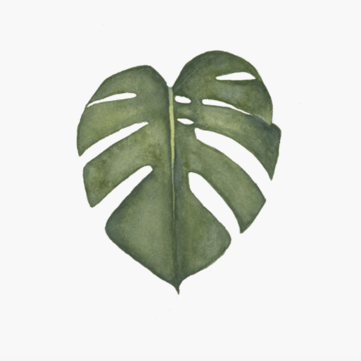 Monstera Deliciouso Art Print