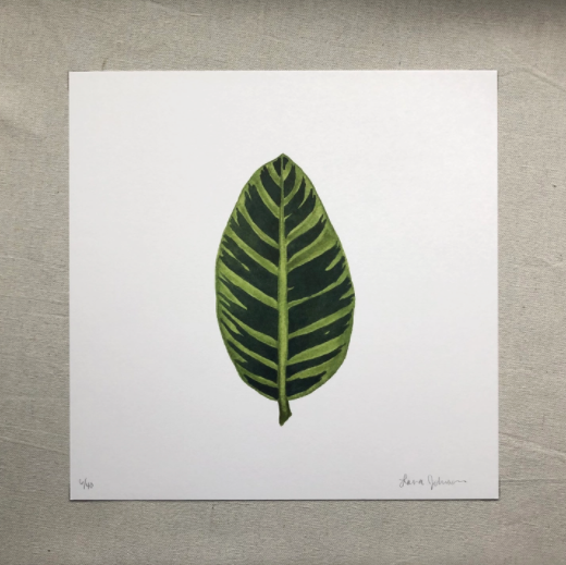 Zebra Plant Art Print