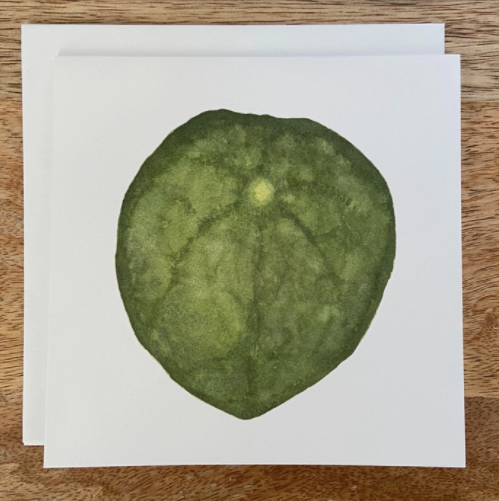 Chinese Money Houseplant Card