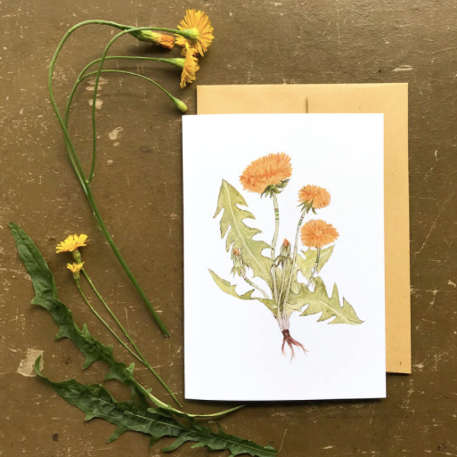 Collector: The Dandelions - Greeting Card