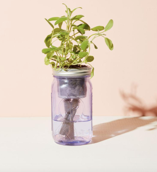 GARDEN JAR - SAGE