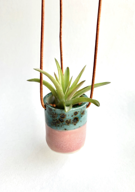 Ceramic Cup Hanging Air Plant Holder