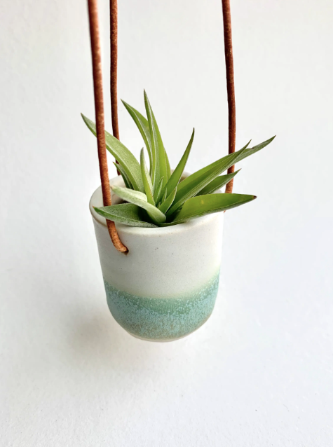 Ceramic Cup Hanging Air Plant Holder