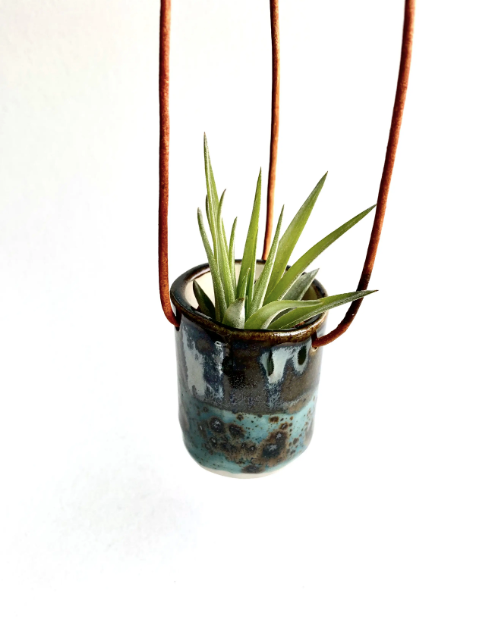 Ceramic Cup Hanging Air Plant Holder