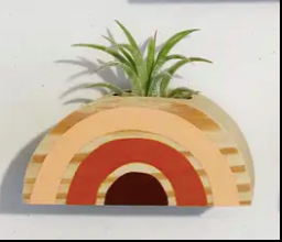 Rainbow Air Plant Holder (PLANT NOT INCLUDED)