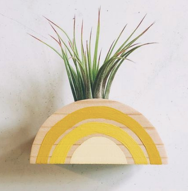 Rainbow Air Plant Holder (PLANT NOT INCLUDED)