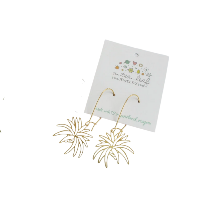 Air Plant Earrings | Style 1