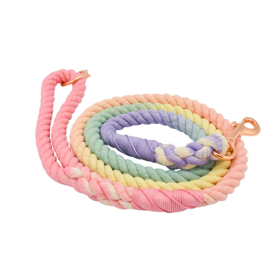 Rainbow Bright Dog Rope Leash