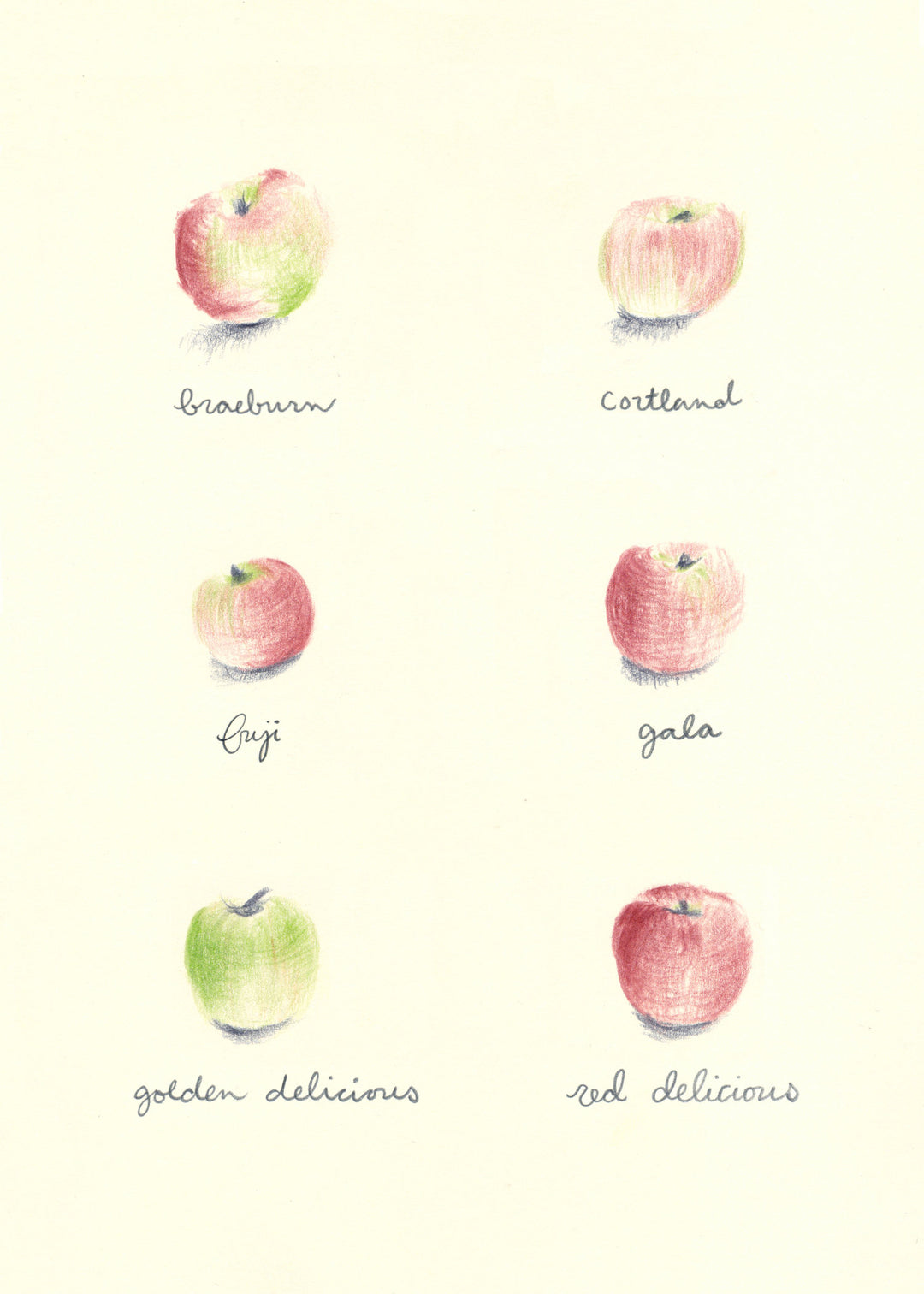 Apples Watercolor Print 5" x 7"