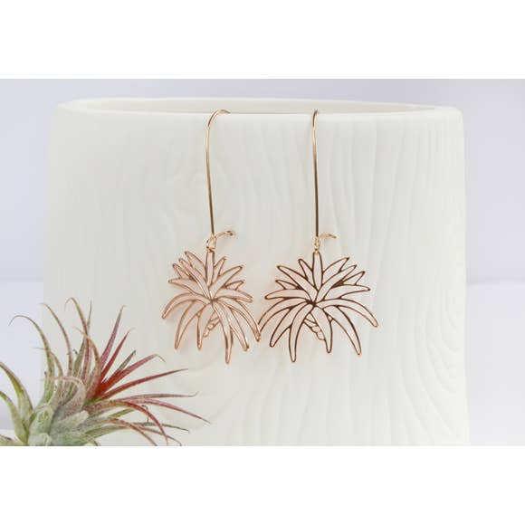 Air Plant Earrings | Style 1