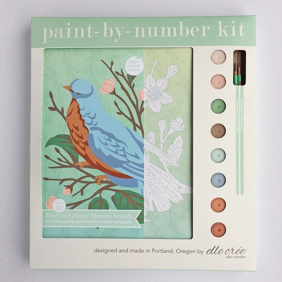 Bird On A Cherry Blossom Paint-By-Number Kit
