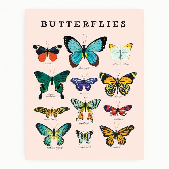 Butterflies 11x14 Art Print
