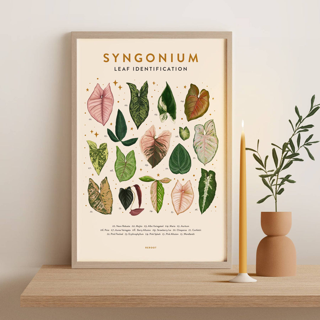 Syngonium Plant Poster