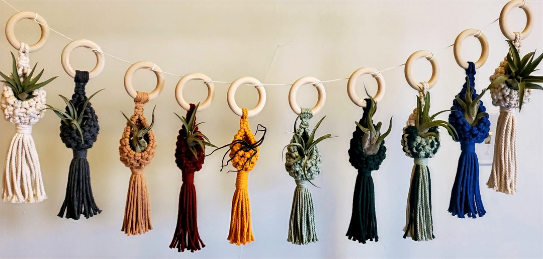 Macrame Air Plant Pod